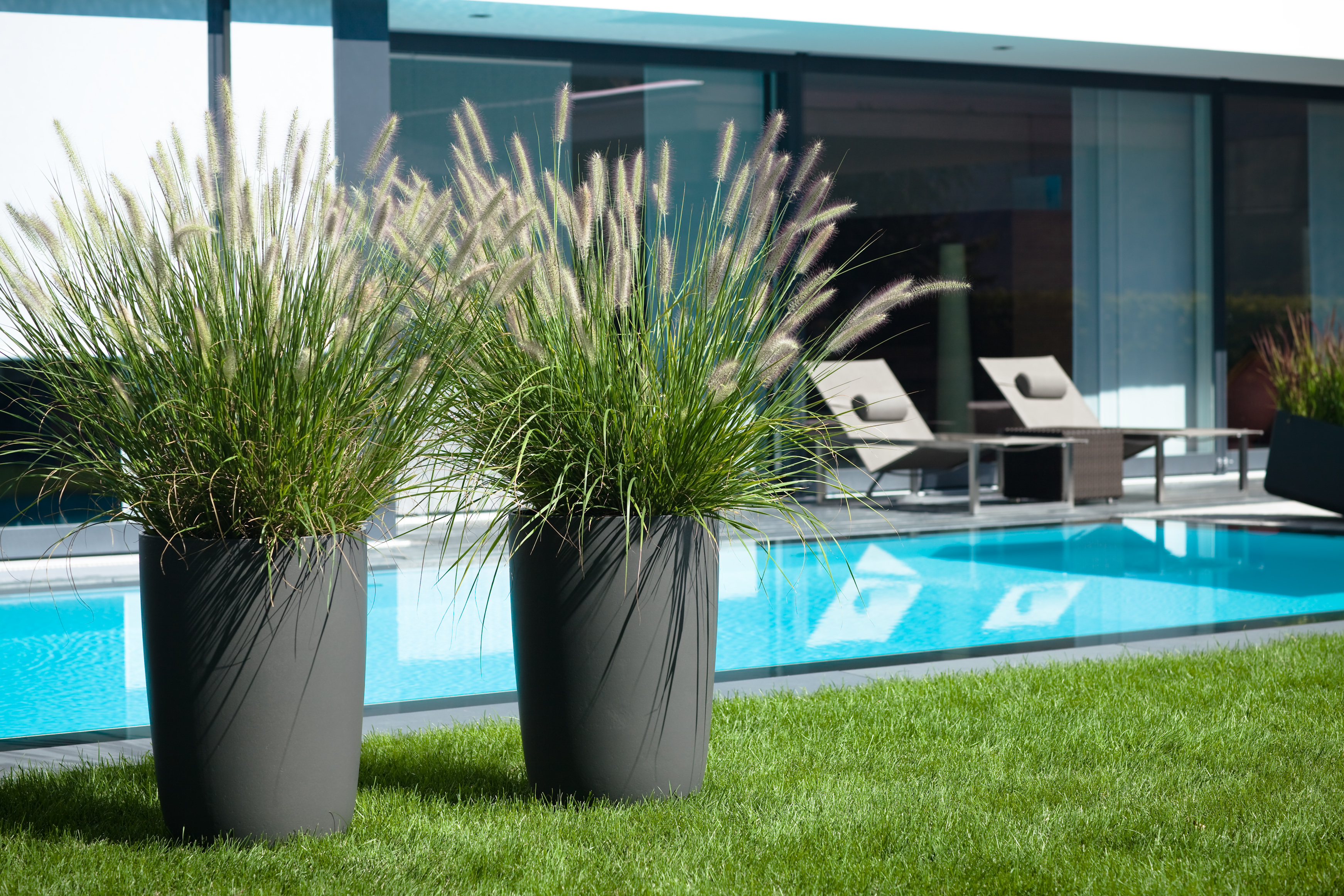 pots-fleurs-exterieur-design-jardin-terrasse-piscine-decoration-vegetale-suisse.jpg
